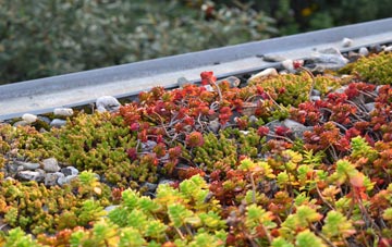 the cost of Farleton green roof installation