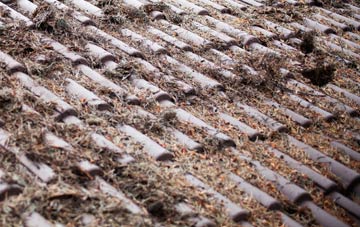 Farleton roof cleaning companies