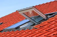 Farleton roof window